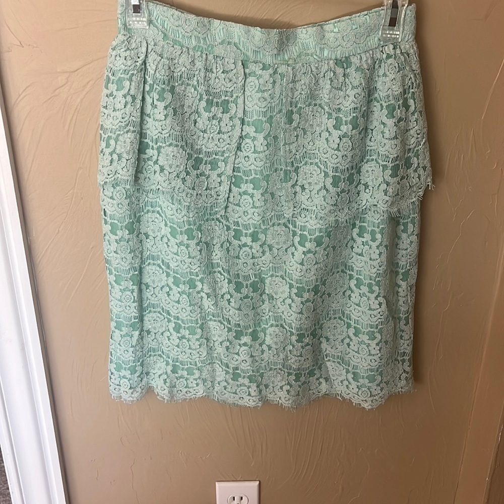 Absolutely Gorgeous Lace overlay Aryn K Pencil Skirt Size Small